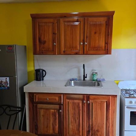 Wizzy Apartment White River Ocho Rios Buitenkant foto