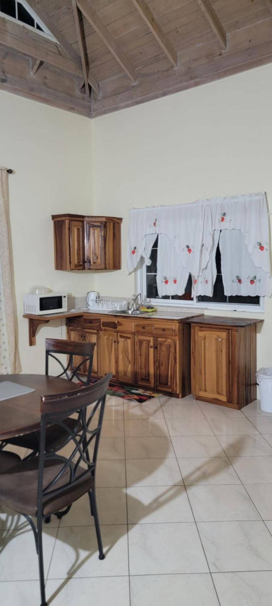 Wizzy Apartment White River Ocho Rios Buitenkant foto