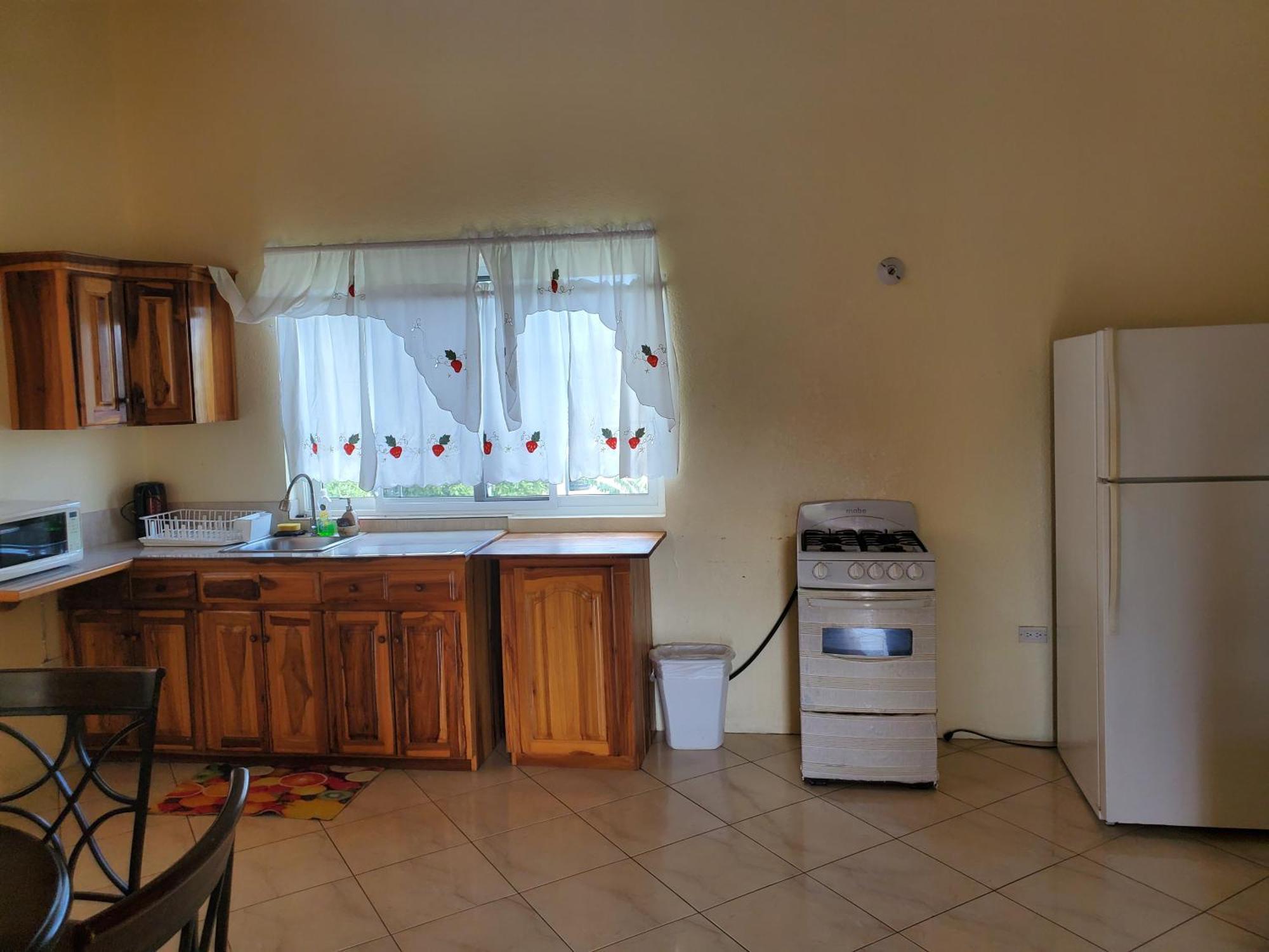 Wizzy Apartment White River Ocho Rios Buitenkant foto