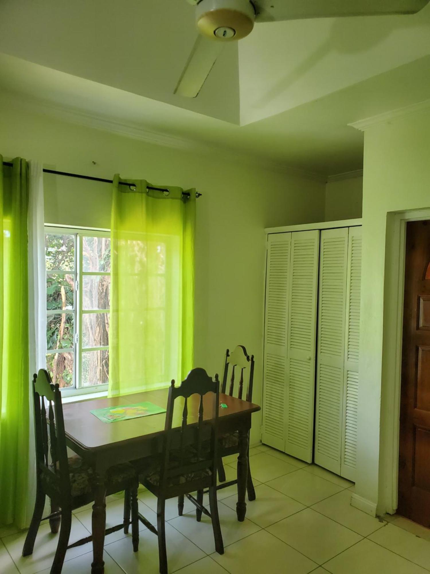 Wizzy Apartment White River Ocho Rios Buitenkant foto