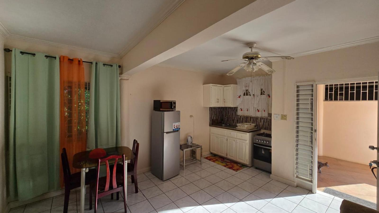 Wizzy Apartment White River Ocho Rios Buitenkant foto