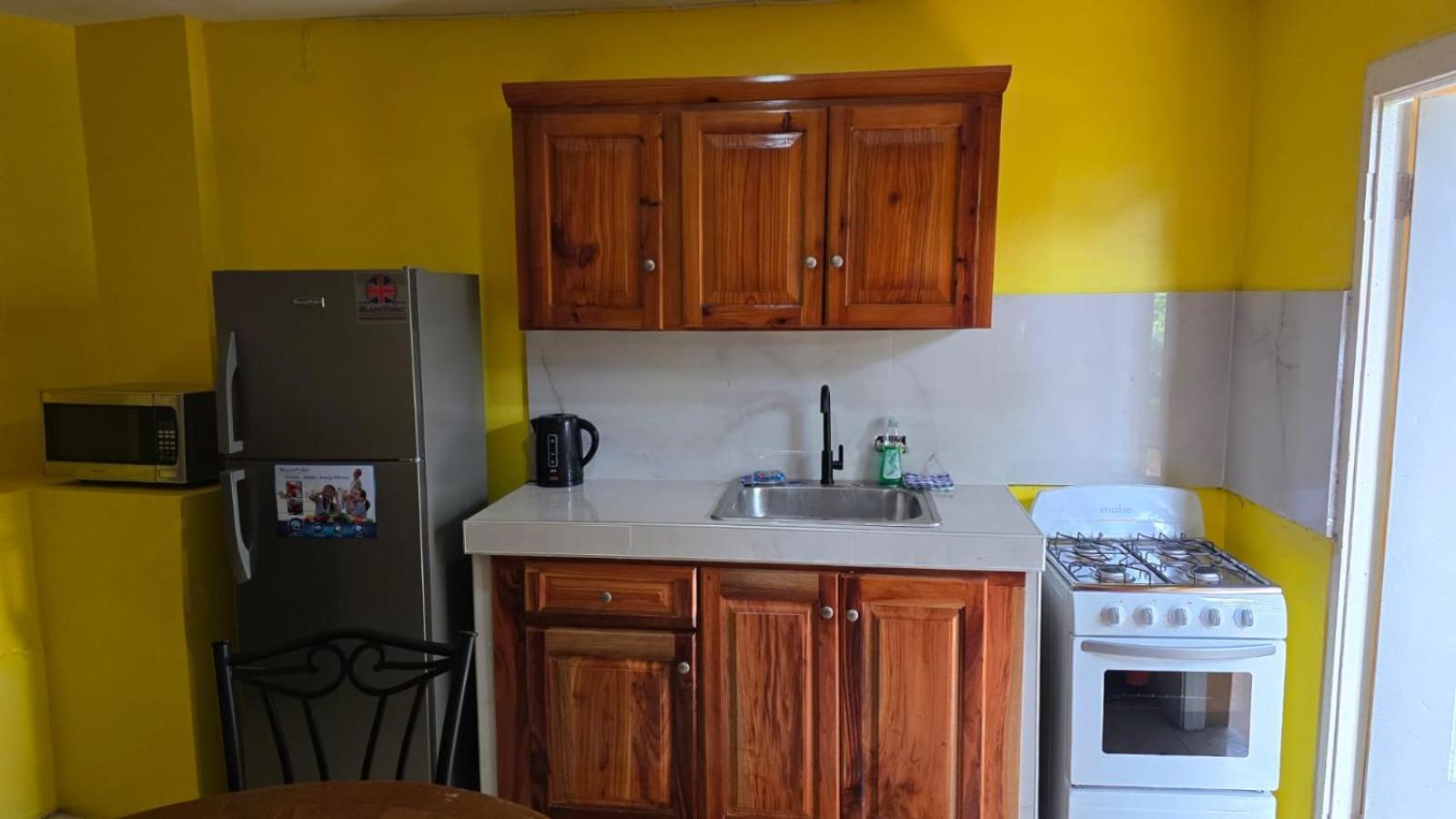 Wizzy Apartment White River Ocho Rios Buitenkant foto